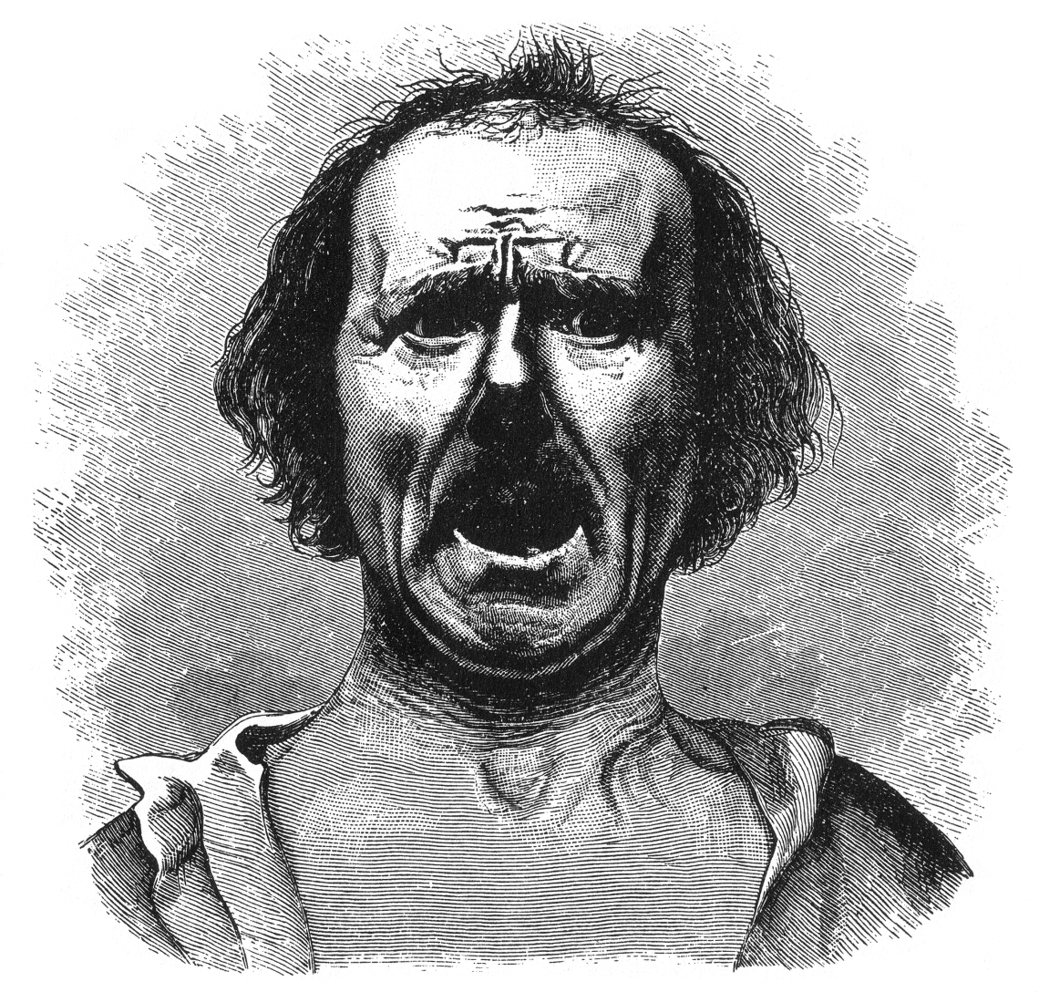 expression_of_the_emotions_figure_21