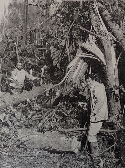 Great Storm 1987-2017 15