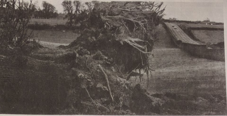 Great Storm 1987-2017 29