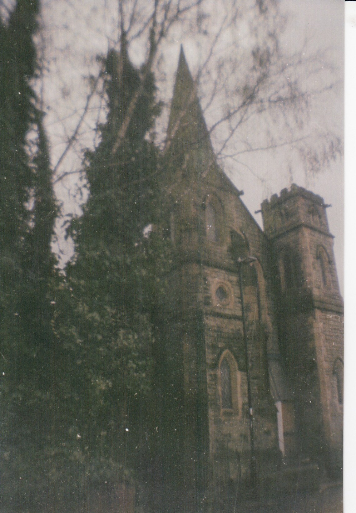 La Sardina - July 2018 (3)