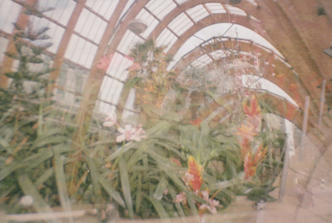 La Sardina - July 2018 (5)