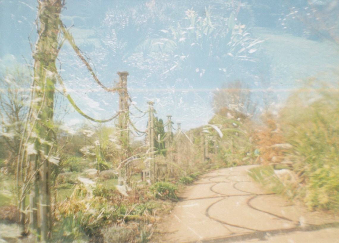 La Sardina - June 2018 (5)